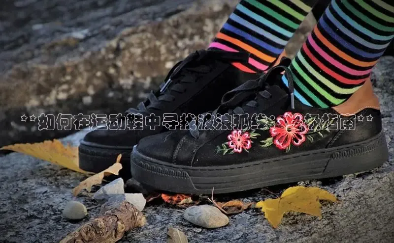 球速app官网登录入口每日互动**如何在运动鞋中寻找波浪弧线：终极指南**