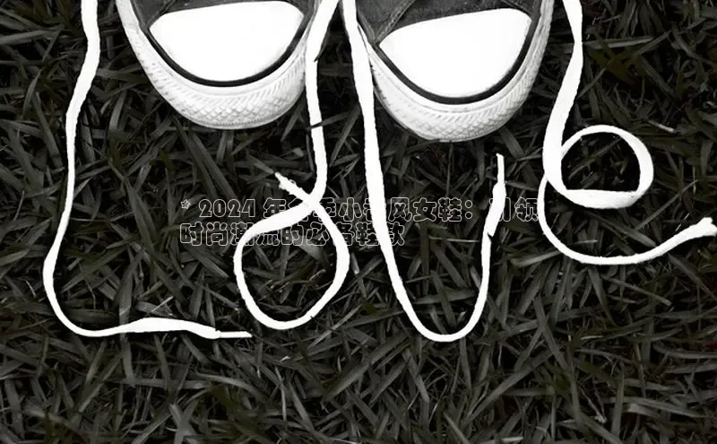 球速体育官方入口百度智能门户* 2024 年冬季小香风女鞋：引领
时尚潮流的必备鞋款