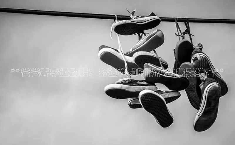 球速体育app百度网盘企业版**爸爸春季运动鞋：舒适性和时尚性的完美结合**