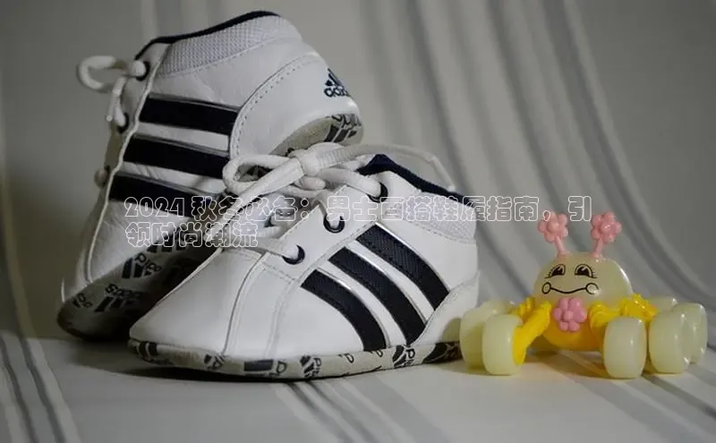 球速体育welcome百度教育2024 秋冬必备：男士百搭鞋履指南，引
领时尚潮流