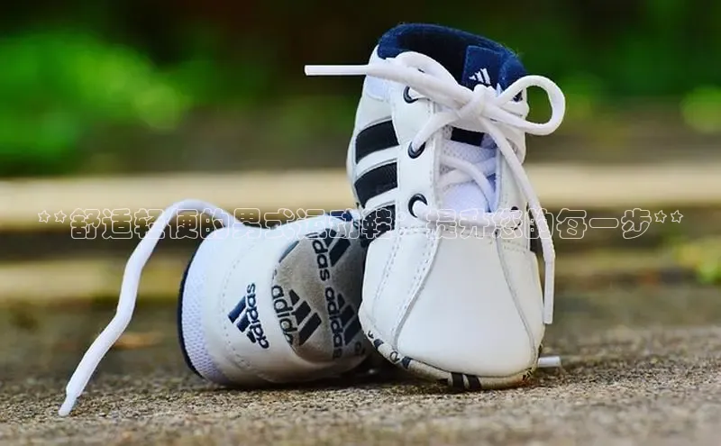 球速体育app官网入口百度翻译App**舒适轻便的男式运动鞋：提升您的每一步**