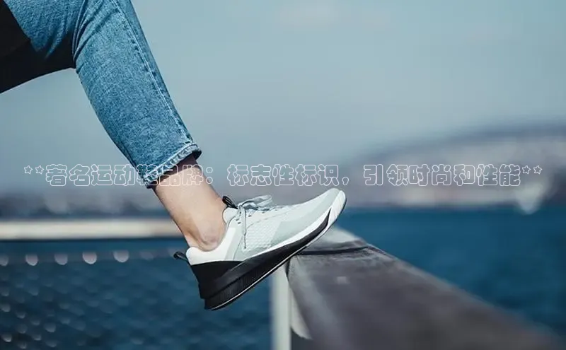 球速体育welcome诸葛科技**著名运动鞋品牌：标志性标识，引领时尚和性能**