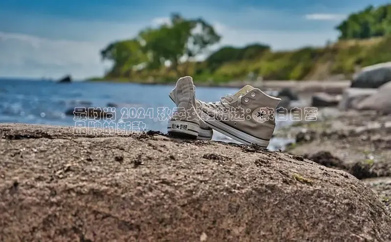 球速体育app官网入口光魔科技最时尚 2024 秋季女鞋精选：来自自营
品牌的新款