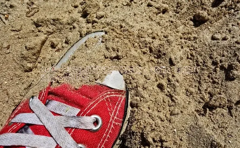 球速体育welcome挪威主权基金2023 年最热门的运动鞋指南：舒适、时尚且
适合各种场合