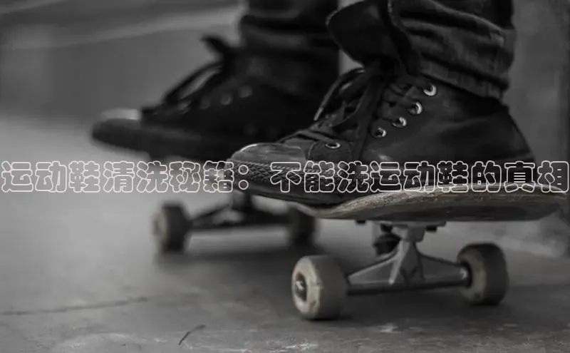 球速体育welcome登录观星盘运动鞋清洗秘籍：不能洗运动鞋的真相