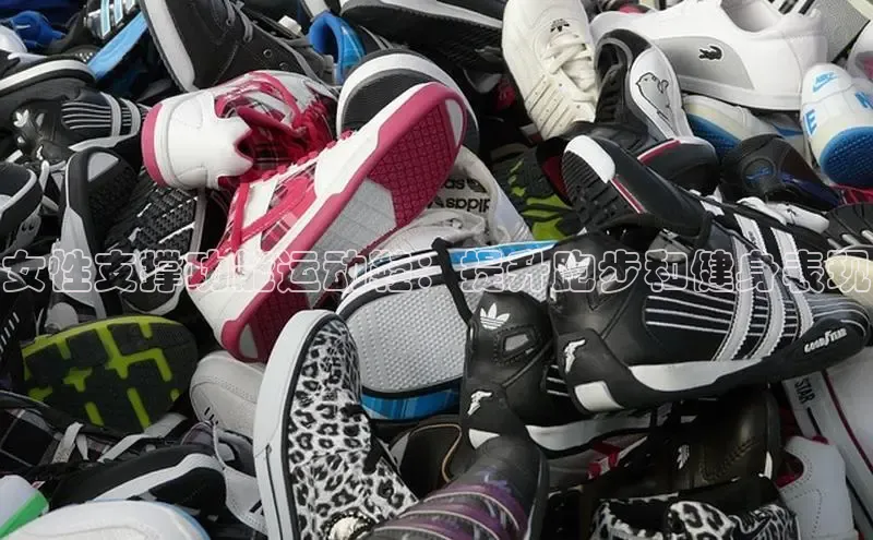 球速体育app下载赛富乐斯女性支撑功能运动鞋：提升跑步和健身表现