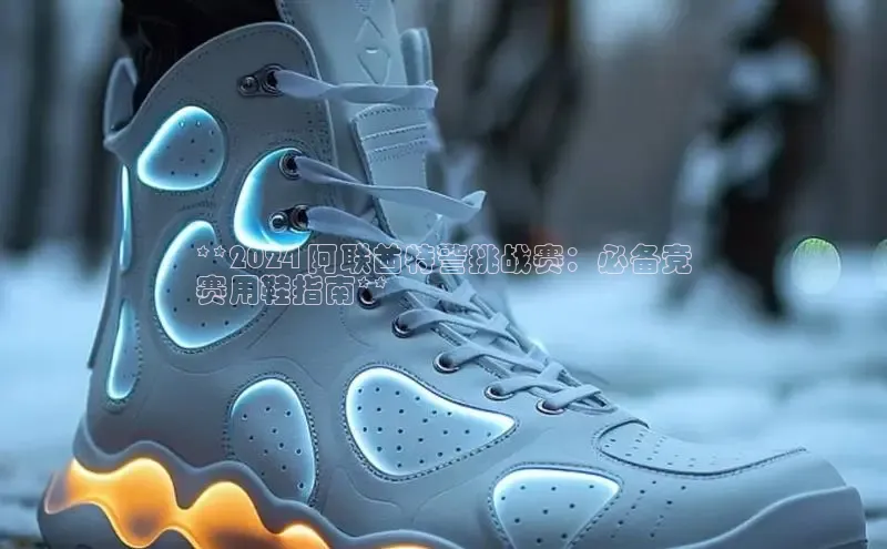 球速体育网址百家号**2024 阿联酋特警挑战赛：必备竞
赛用鞋指南**