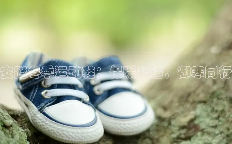 球速体育网页版登陆入口百度移动开放平台安踏冬季运动鞋：保暖舒适，御寒同行