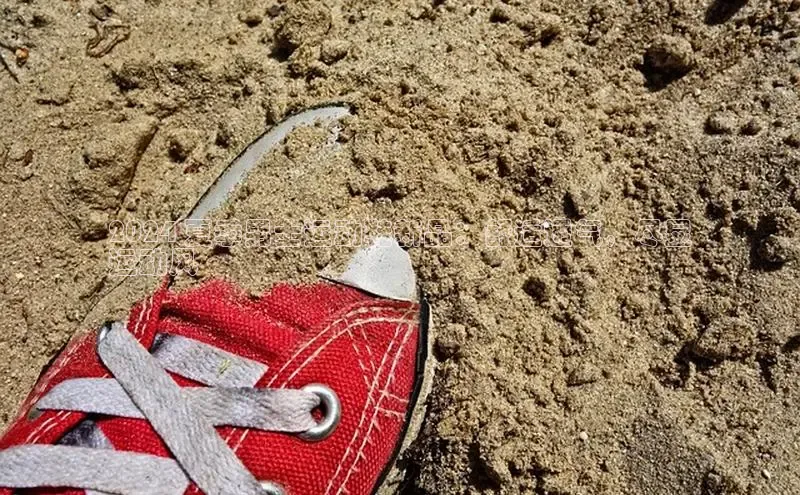 球速体育网页版登录入口百度技术学院2024 夏季男士运动鞋新品：舒适透气，尽显
运动风