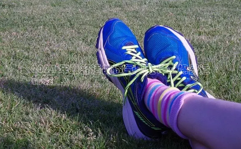 球速体育网页版登陆入口小度商城2024 年最舒适的透气男鞋：二棉舒适
棉鞋