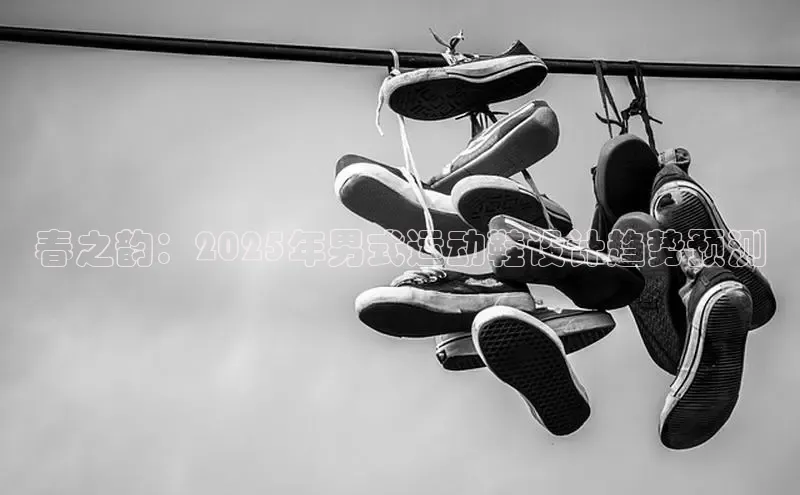 球速体育百度信誉春之韵：2025年男式运动鞋设计趋势预测