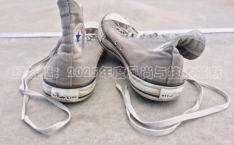 绿蜻蜓：2025年度风尚与技术革新