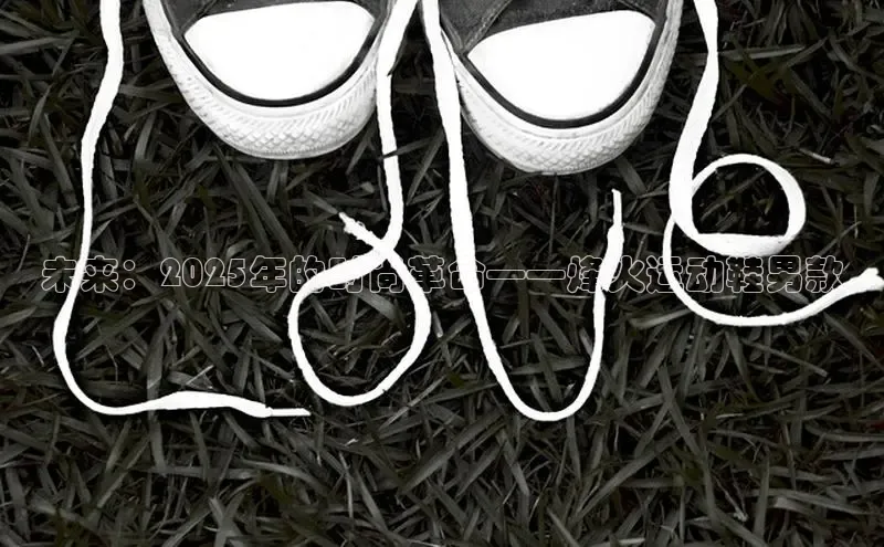 未来：2025年的时尚革命——烽火运动鞋男款