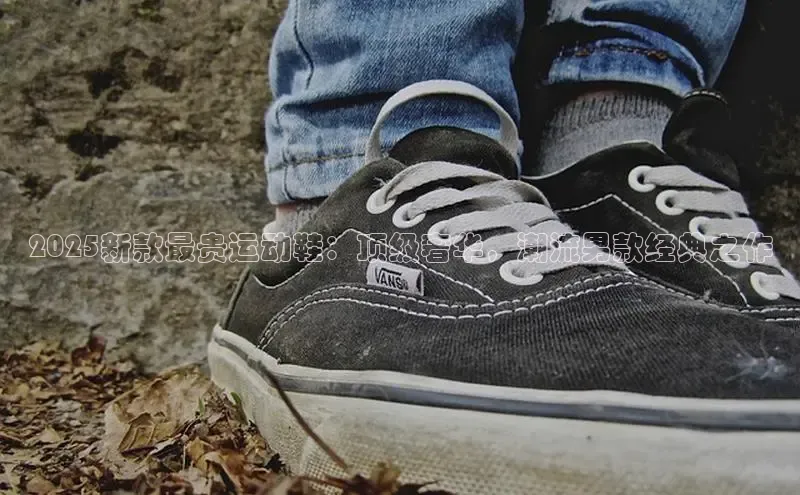 2025新款最贵运动鞋：顶级奢华，潮流男款经典之作