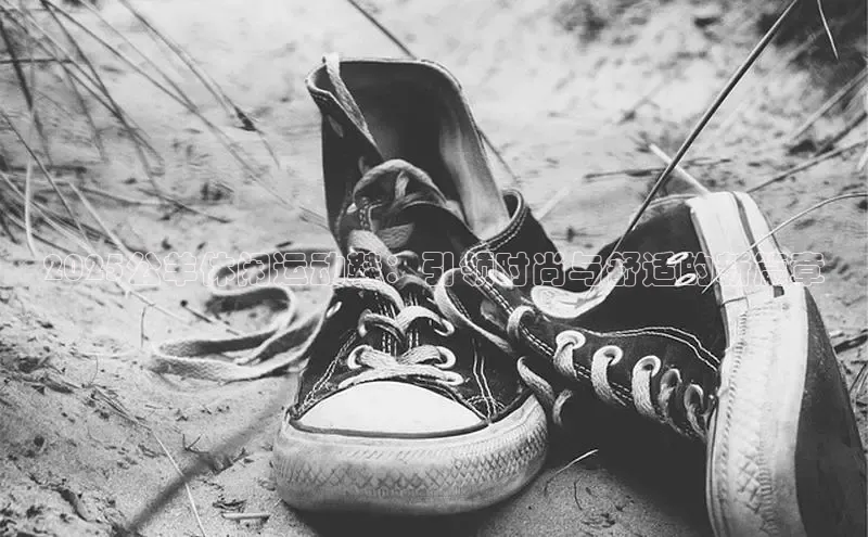 2025公羊休闲运动鞋：引领时尚与舒适的新篇章