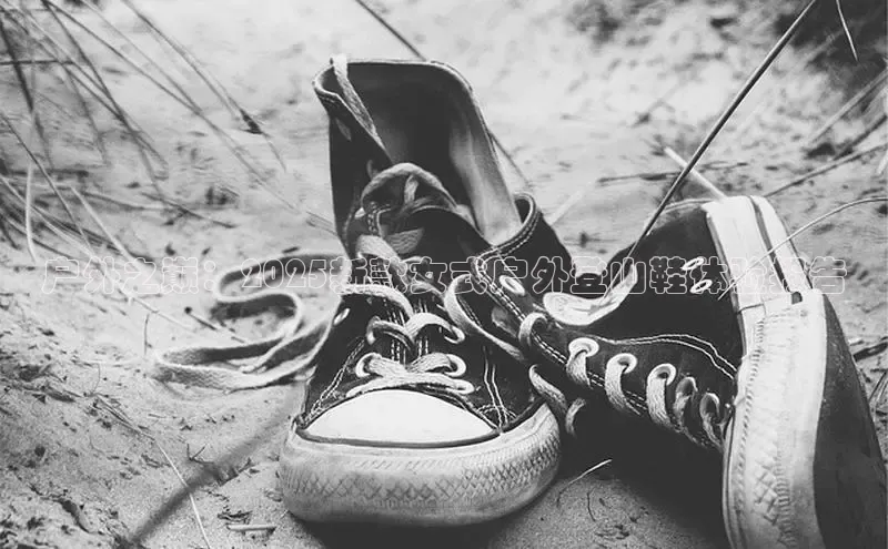 球速体育登录入口