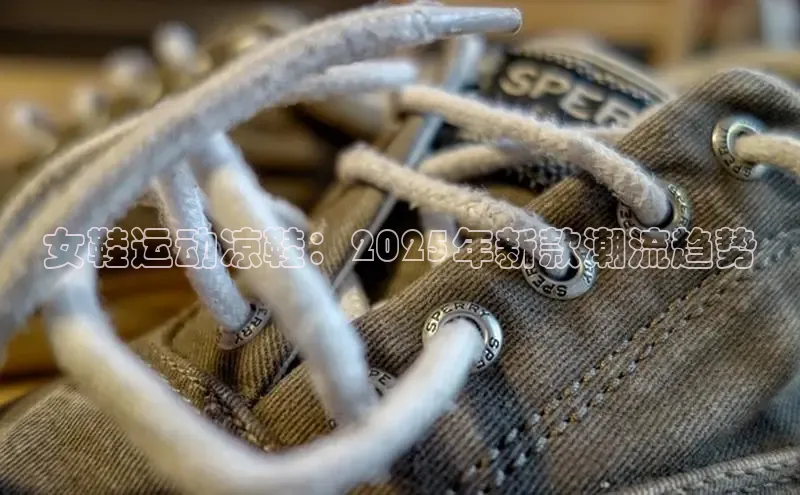 球速体育welcome登录