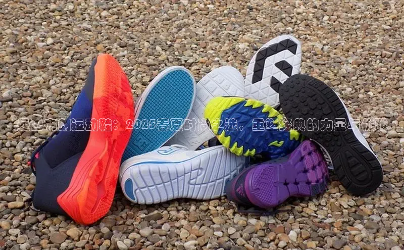 球速app官网登录入口