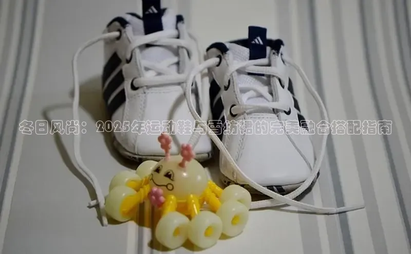 球速体育网页版登录入口