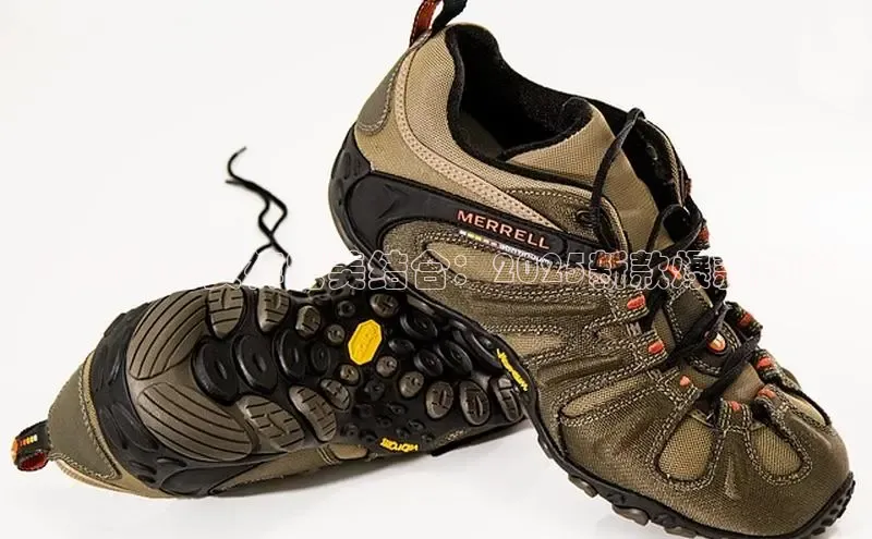 球速体育网页版登录入口