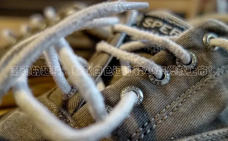 球速体育网页版登录入口